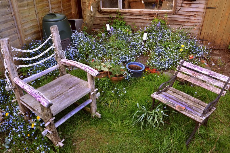 Gemütlicher Garten